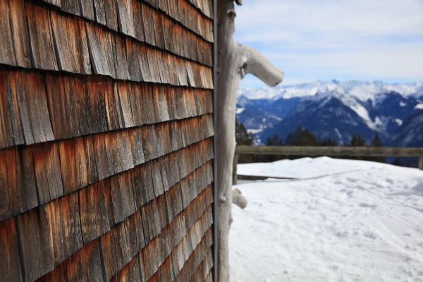Cedar Siding Repair in Leland