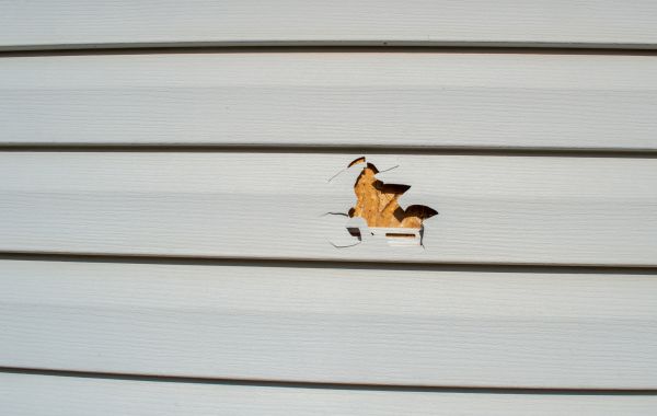 Siding Hole Patching in Leland