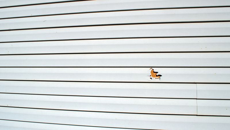 Expert Vinyl Siding Repair Crew