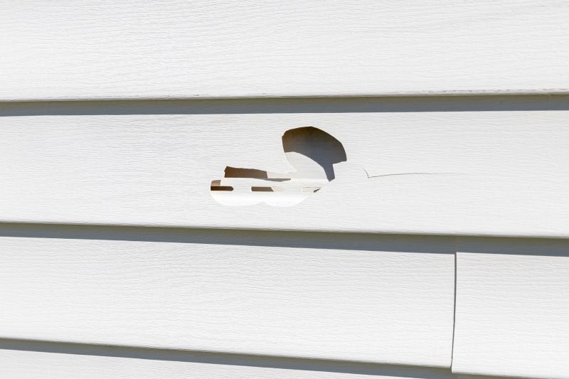 Vinyl Siding Repair